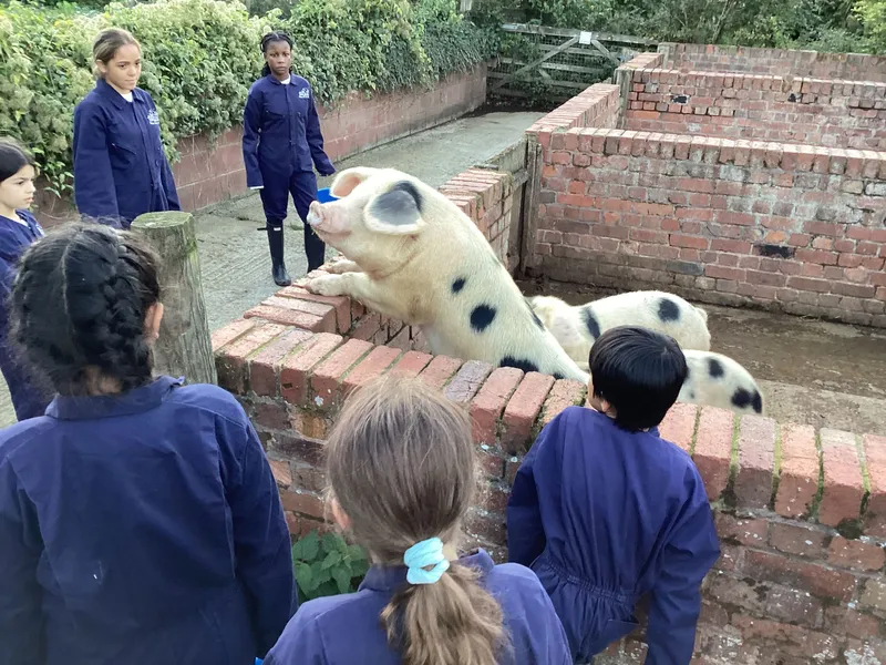 Farm Trip 2025 - image 7