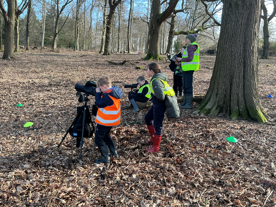 Mariner's Bird Watching and Team Building