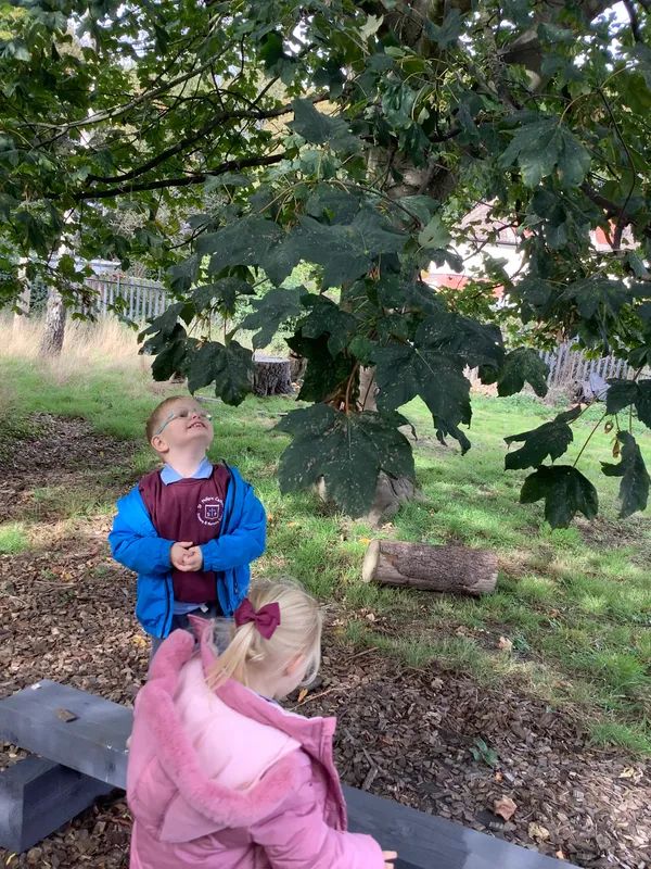 Nursery RE Creation - image 1 Nursery RE Creation - image 1