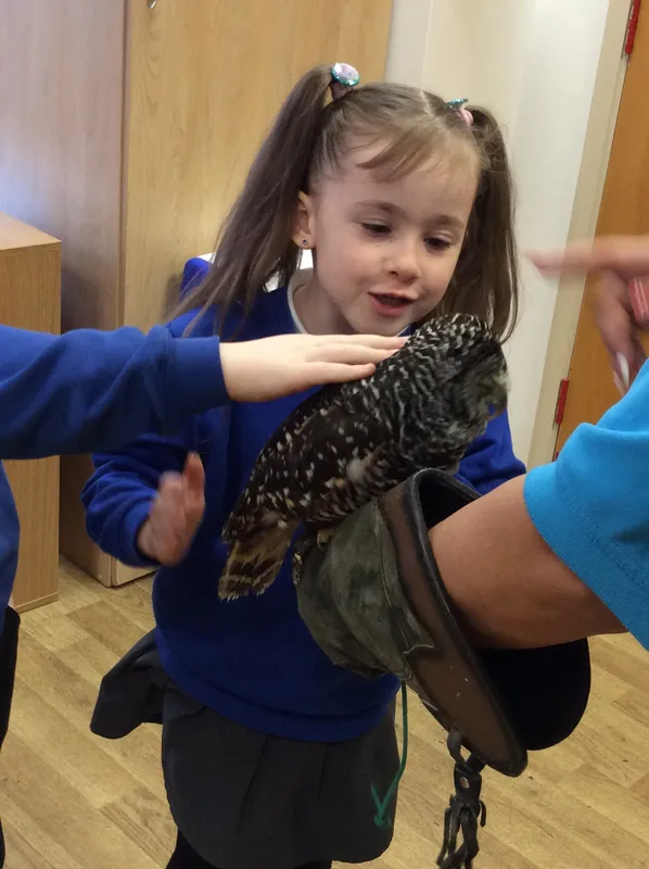 Gallery - created at 2024-02-26 17:15:57 - image 36 Gallery - created at 2024-02-26 17:15:57 - image 36