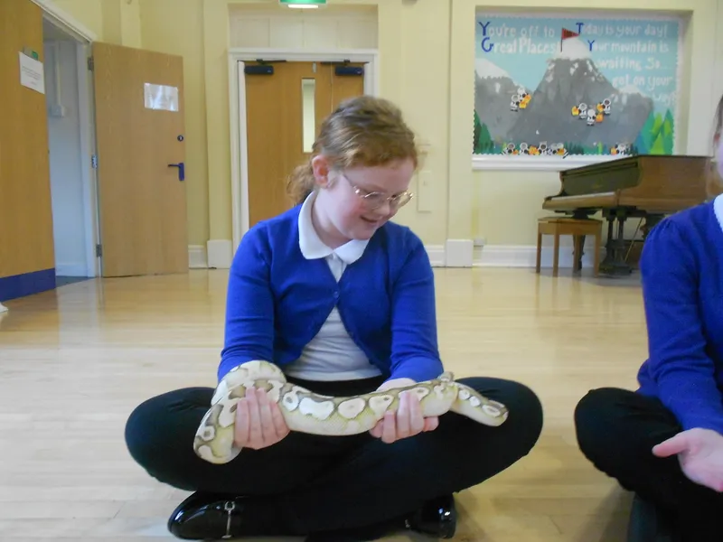 Y6 Reptile Rendezvous - image 47