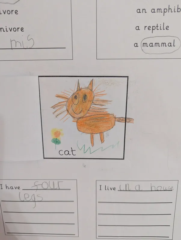 What animal am I? - image 15