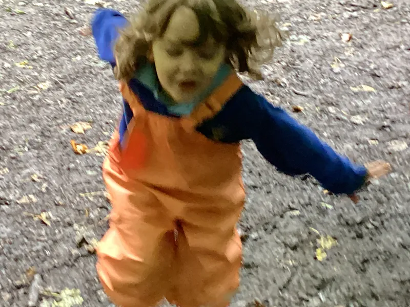 Nursery Fun in the Woods - image 7 Nursery Fun in the Woods - image 7