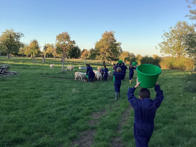 Farm Trip 2025 - image 5