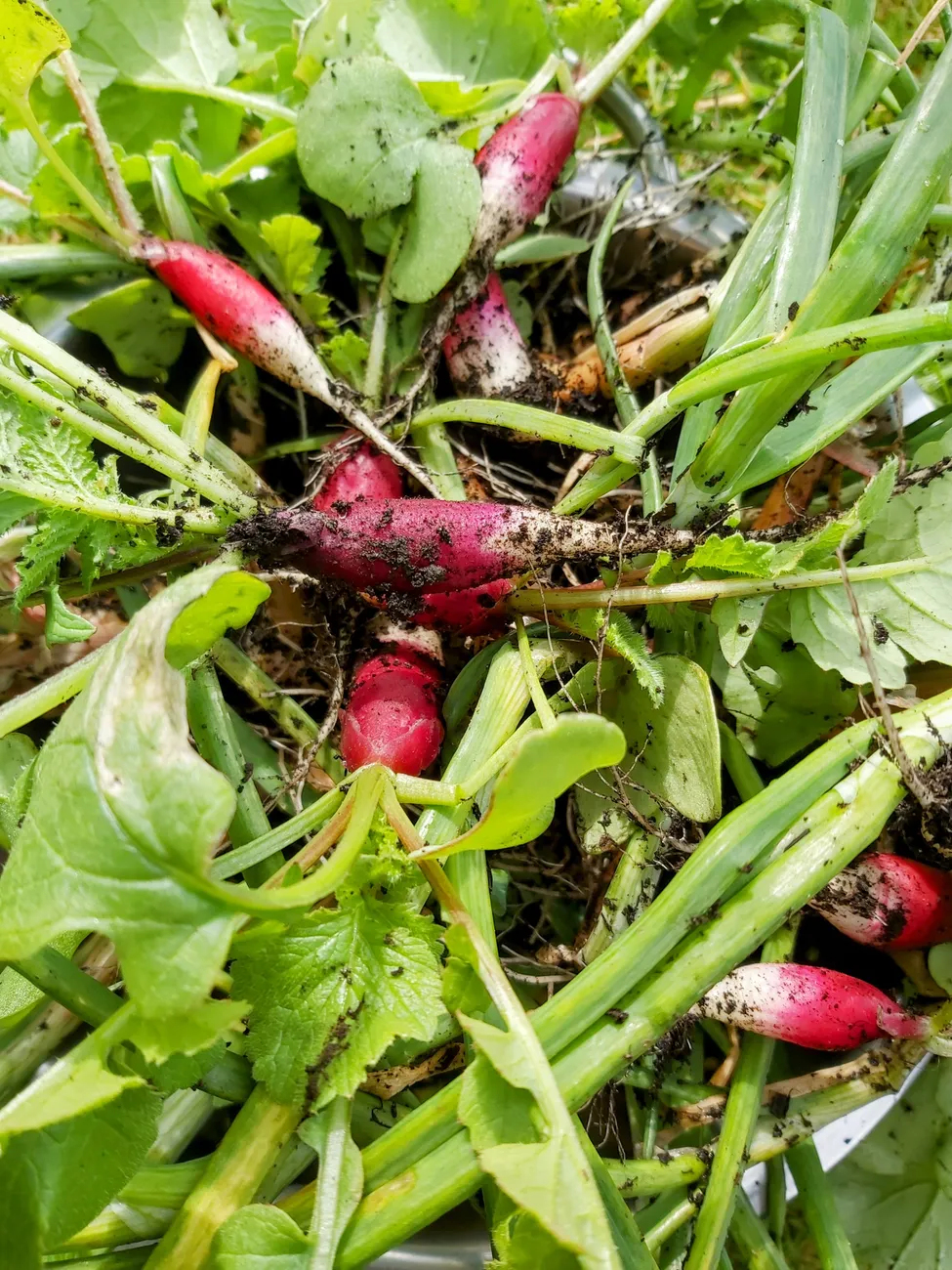 Gallery - created at 2023-09-07 16:46:06 - image 31 Gallery - created at 2023-09-07 16:46:06 - image 31