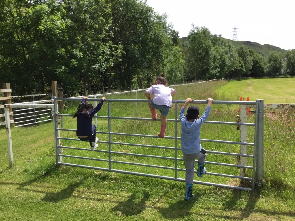 Rafted Canoeing - image 4
