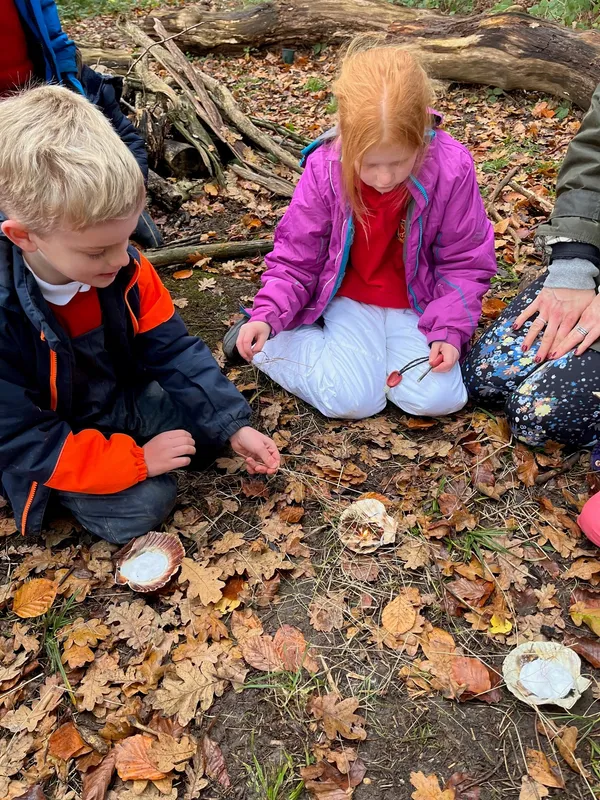 Gallery - created at 2022-12-06 12:52:57 - image 9