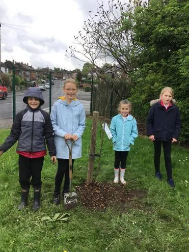 Gallery - created at 2024-12-05 13:35:53 - image 9 Gallery - created at 2024-12-05 13:35:53 - image 9