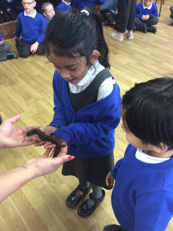 Gallery - created at 2024-03-05 13:52:56 - image 47 Gallery - created at 2024-03-05 13:52:56 - image 47