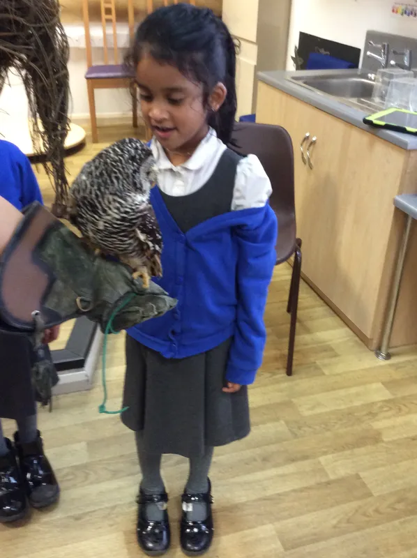 Gallery - created at 2024-02-26 17:15:57 - image 25 Gallery - created at 2024-02-26 17:15:57 - image 25