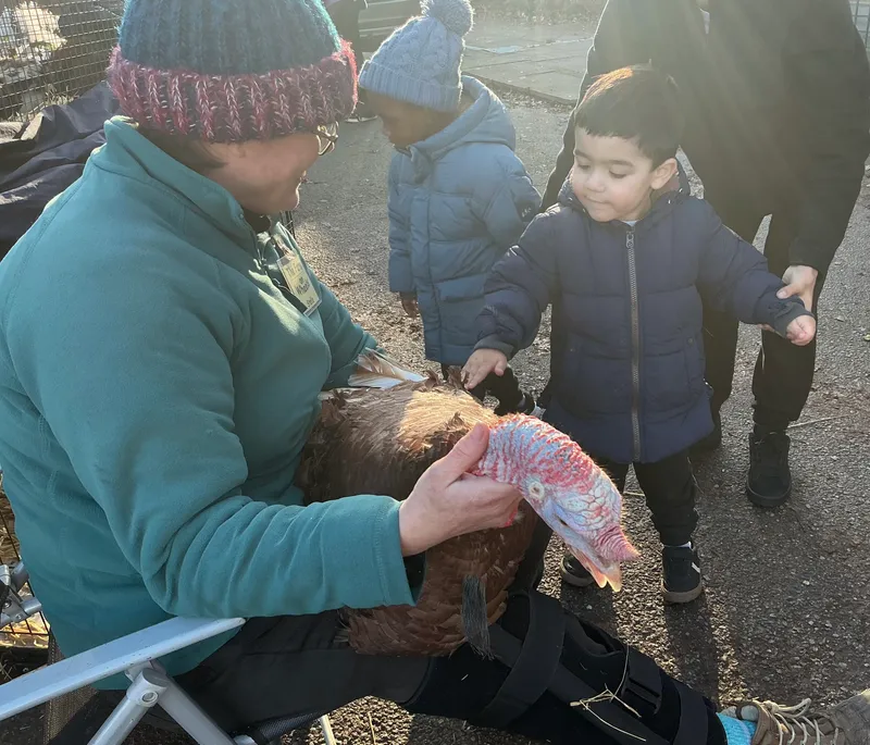 Explorers with Stella on Wheels  - image 30