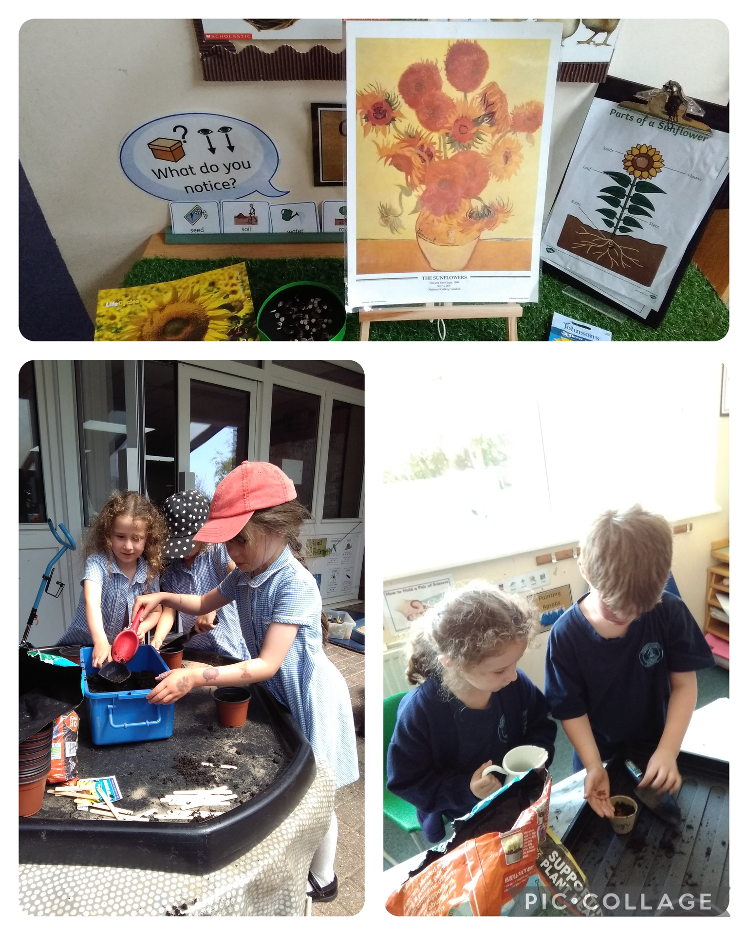 Planting! 