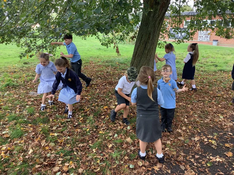 Exploring the autumn changes - image 1 Exploring the autumn changes - image 1
