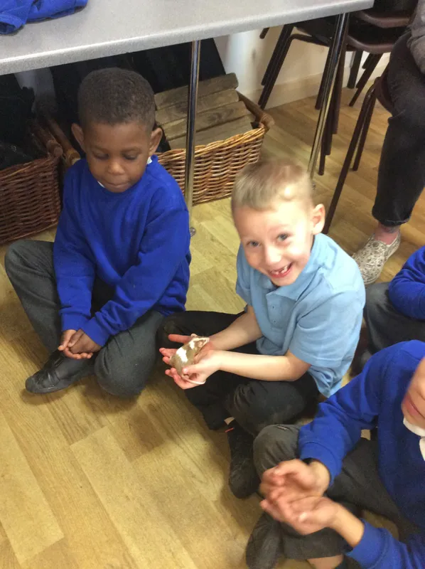 Gallery - created at 2024-03-05 13:52:56 - image 74 Gallery - created at 2024-03-05 13:52:56 - image 74