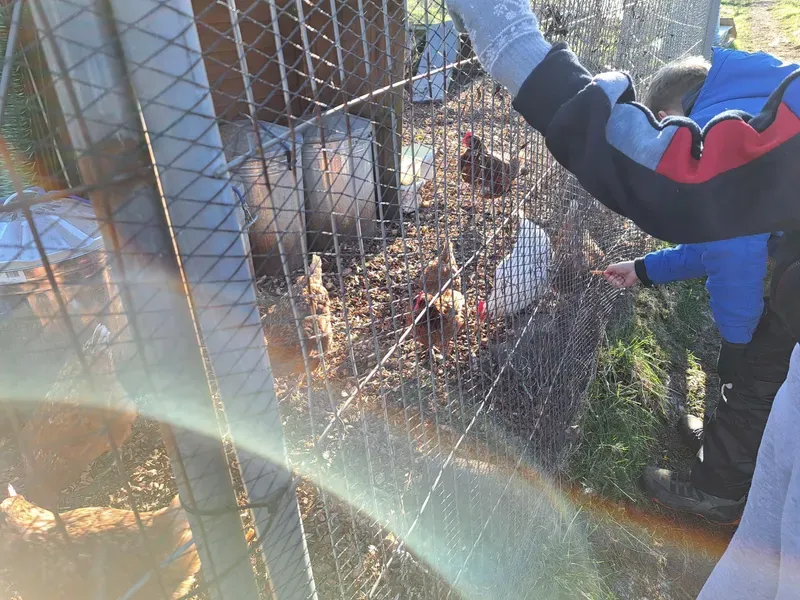 Year 5 and 6 pupils. - image 8