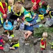 Forest School 60 - image 4 Forest School 60 - image 4