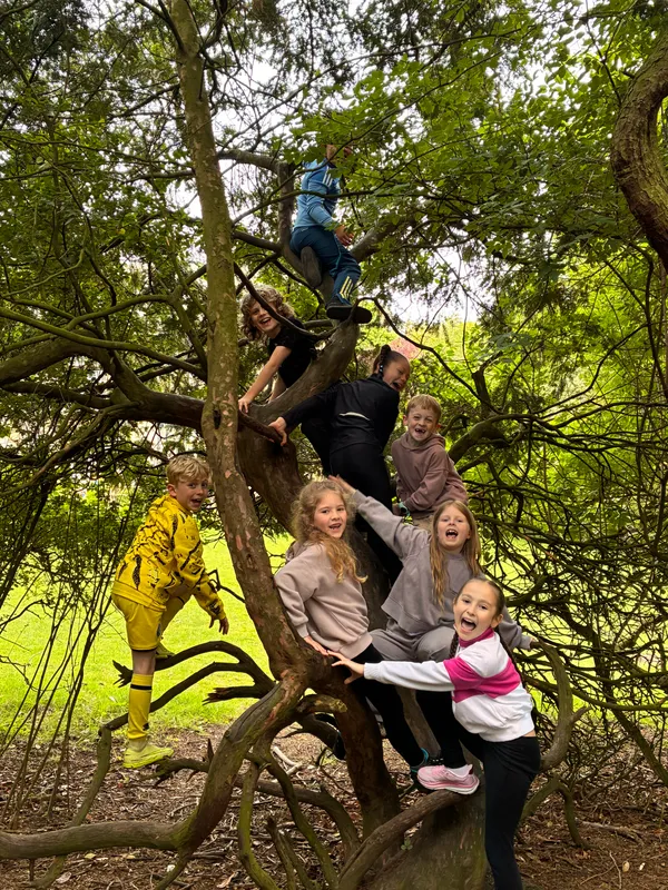 Year 3 Losehill Residential 2026 - image 52