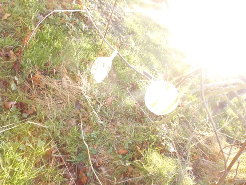Gallery - created at 2019-01-23 16:14:02 - image 4 Gallery - created at 2019-01-23 16:14:02 - image 4