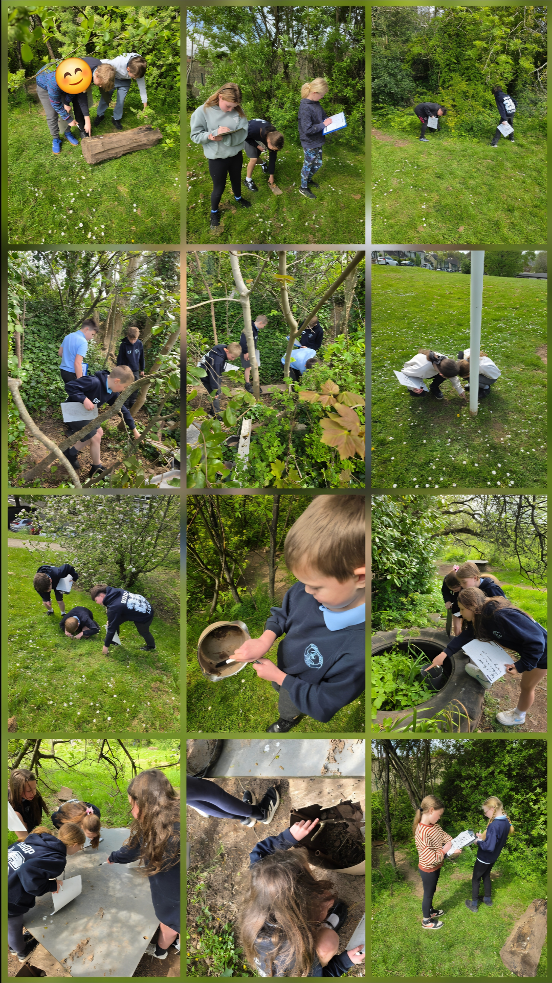 We're going on an invertebrate hunt!