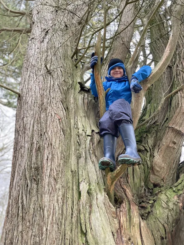 Gallery - created at 2023-01-13 16:15:20 - image 8 Gallery - created at 2023-01-13 16:15:20 - image 8