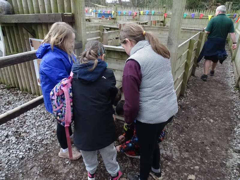 Spring Group 2 - image 62