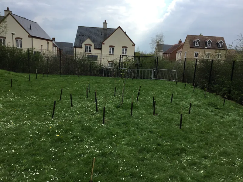 See our work in progress in this gallery! - image 25