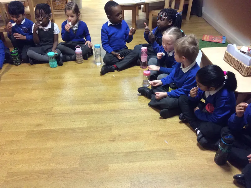 Gallery - created at 2024-03-06 09:58:48 - image 9 Gallery - created at 2024-03-06 09:58:48 - image 9