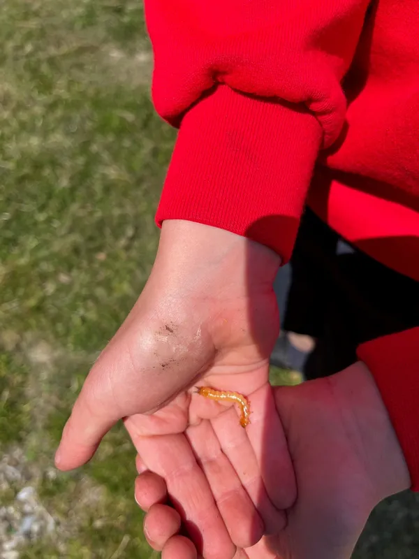 Gallery - created at 2023-06-09 12:14:52 - image 7