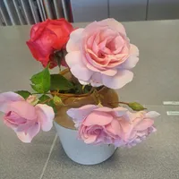 Art Mock Exam Work 2026 - image 16