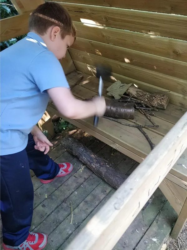 Y3 Forest schools - image 4