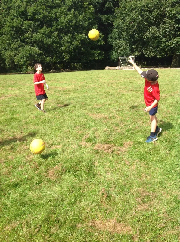 Gallery - created at 2023-09-08 15:01:19 - image 3 Gallery - created at 2023-09-08 15:01:19 - image 3