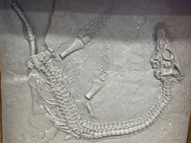 Gallery - created at 2025-05-15 20:19:39 - image 19