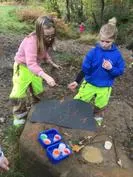 Forest School 118 - image 2 Forest School 118 - image 2