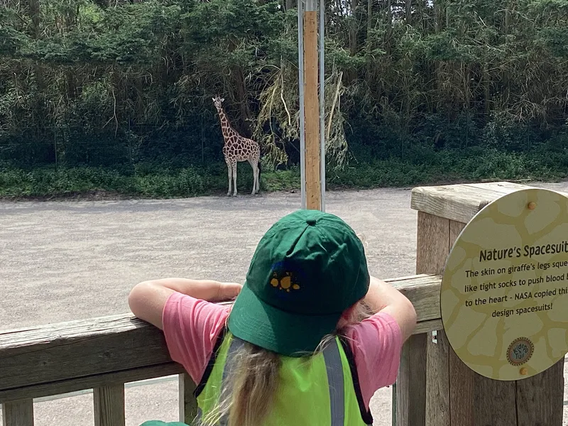 Blackpool zoo - image 14