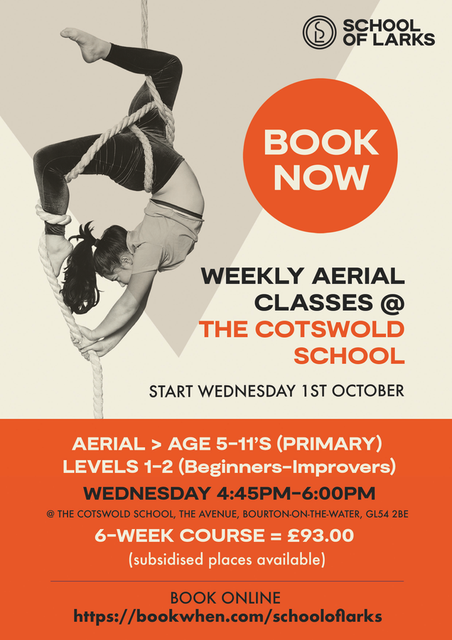 School of Larks Aerial Classes 