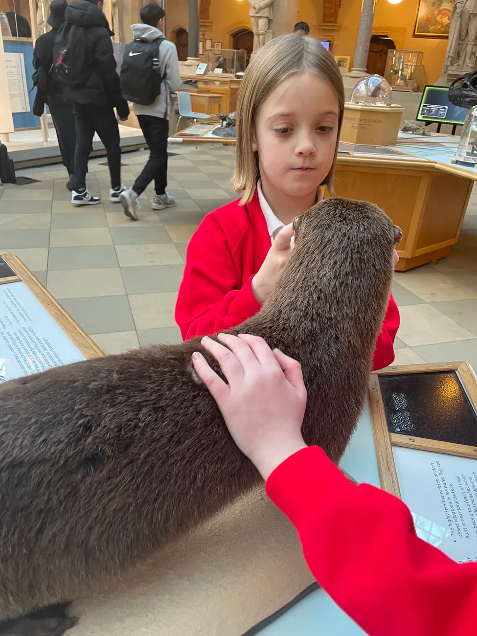 Gallery - created at 2024-02-24 14:03:51 - image 15