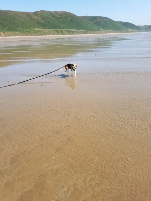 Our School - Bella 7 - image 2