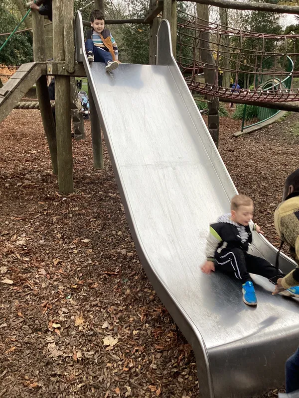 Gallery - created at 2024-11-08 10:10:59 - image 6 Gallery - created at 2024-11-08 10:10:59 - image 6