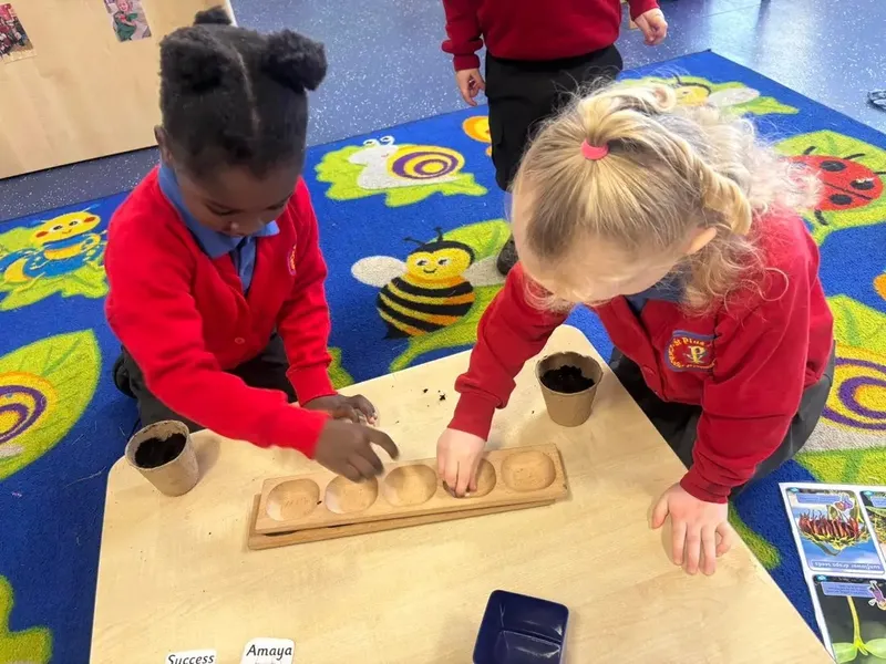 Gallery - created at 2025-05-18 08:26:17 - image 5