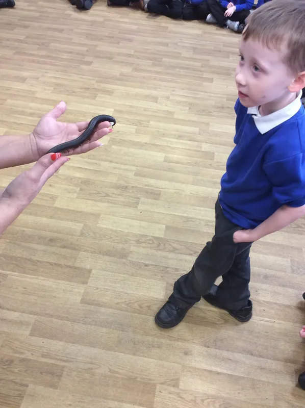 Gallery - created at 2024-03-05 13:52:56 - image 53 Gallery - created at 2024-03-05 13:52:56 - image 53