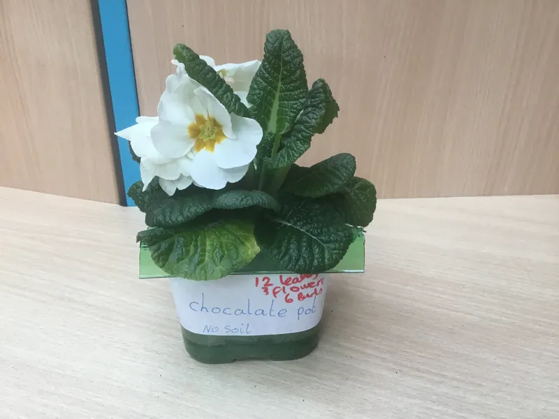 Gallery - created at 2021-04-16 07:58:15 - image 4 Gallery - created at 2021-04-16 07:58:15 - image 4