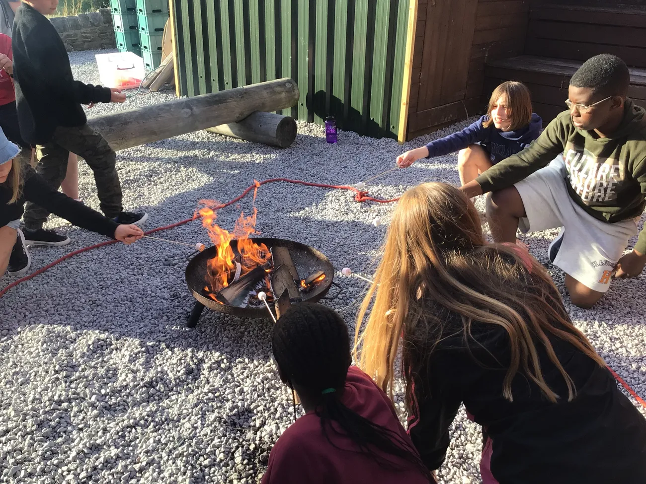 Gallery - created at 2022-06-10 10:14:21 - image 15 Gallery - created at 2022-06-10 10:14:21 - image 15