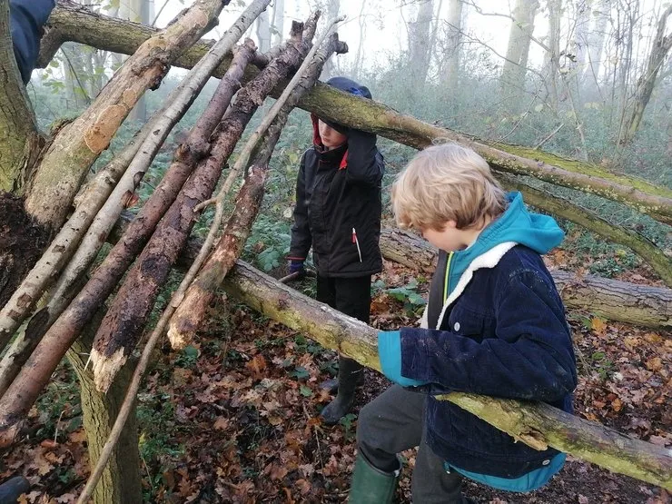 Gallery 2 - image 24