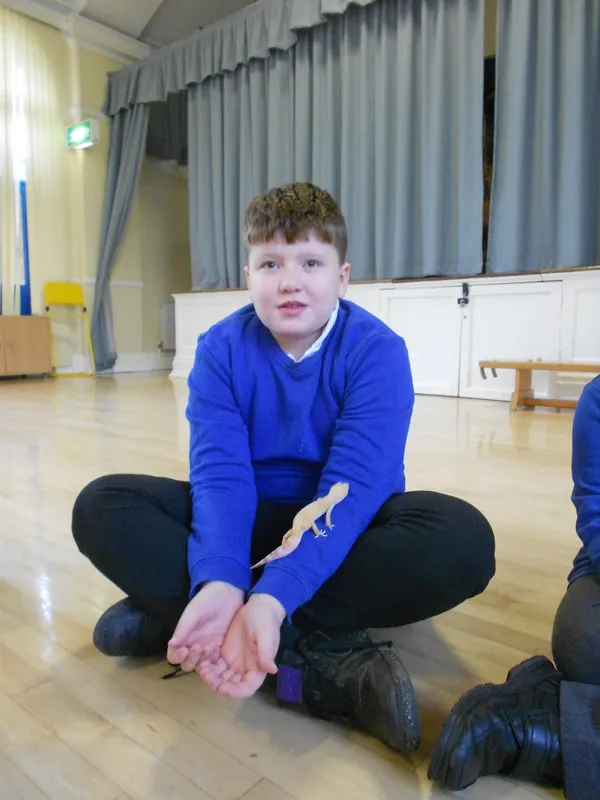 Y6 Reptile Rendezvous - image 42