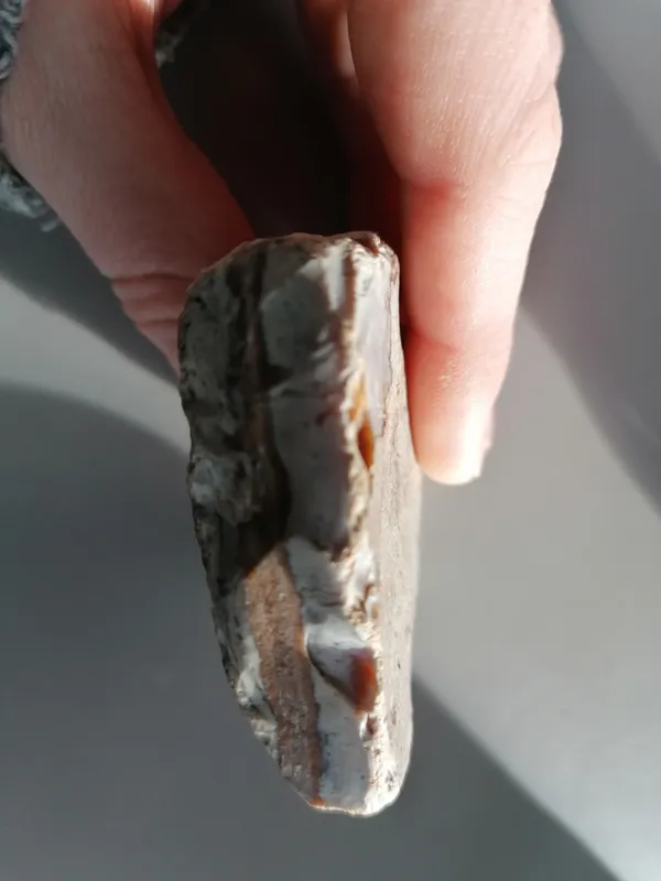 Gallery - created at 2021-02-25 08:10:48 - image 1