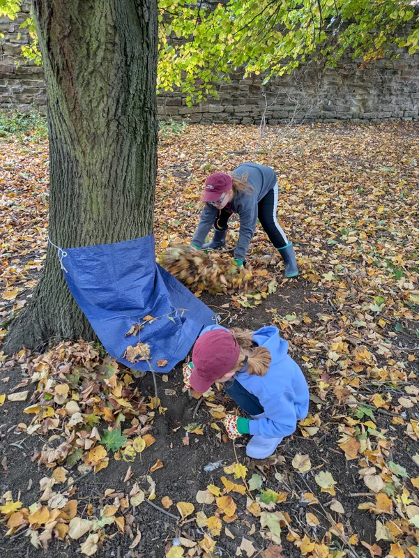 Gallery - created at 2025-10-16 16:10:32 - image 8