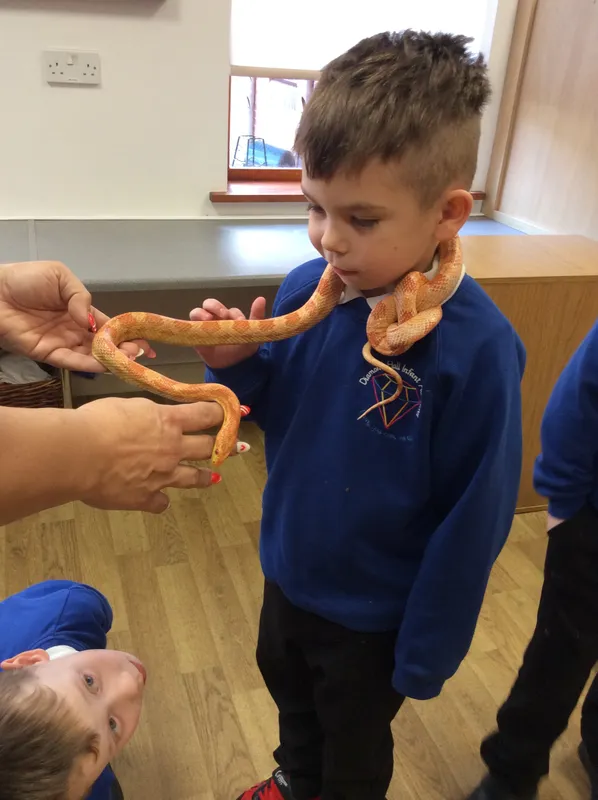 Gallery - created at 2024-02-26 17:15:57 - image 47 Gallery - created at 2024-02-26 17:15:57 - image 47