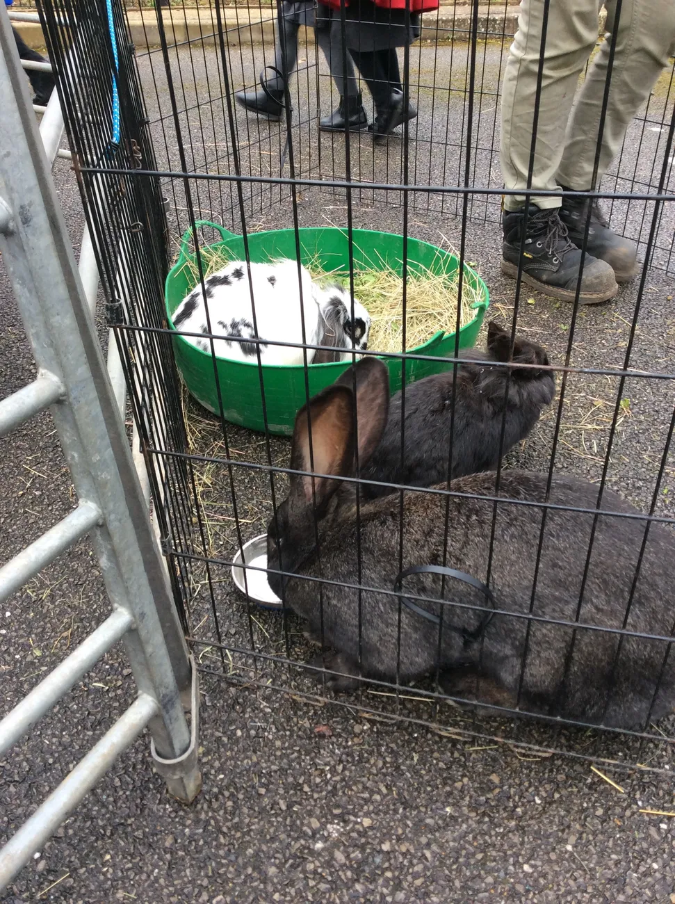 Gallery - created at 2023-03-03 16:33:51 - image 12