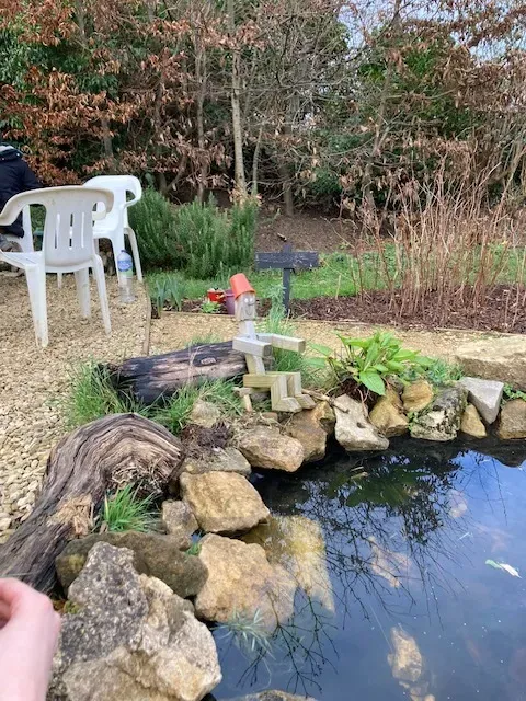Year 5 and 6 pupils. - image 9