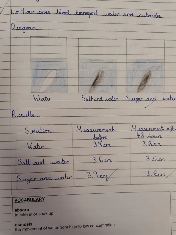 Gallery - created at 2025-01-04 10:24:52 - image 1